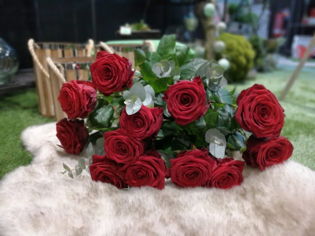 Photos Bouquet De Roses Rouges