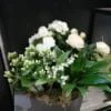 composition muguet