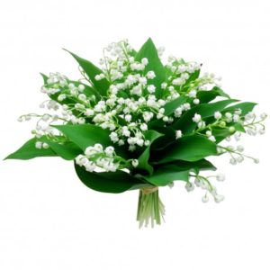 bouquet de 50 brins de muguet