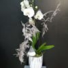 Composition orchidées blanches 2 tiges