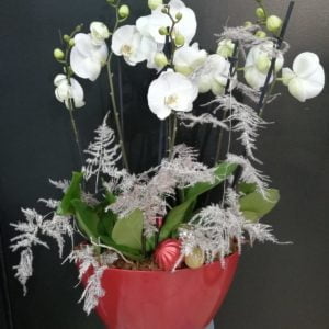 Composition Orchidées Blanches 6 tiges