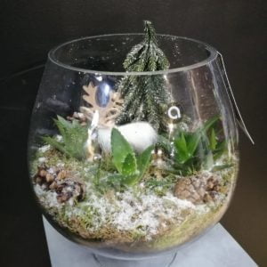 Terrarium de Noël
