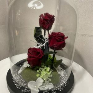 rose éternelle rouge