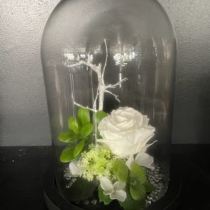 rose éternelle saint valentin