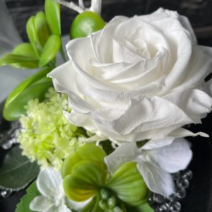 rose éternelle saint valentin