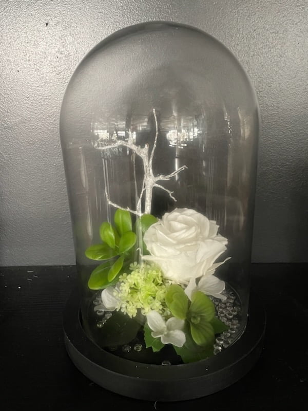 Rose blanche éternelle sous cloche - atelier d'ISA